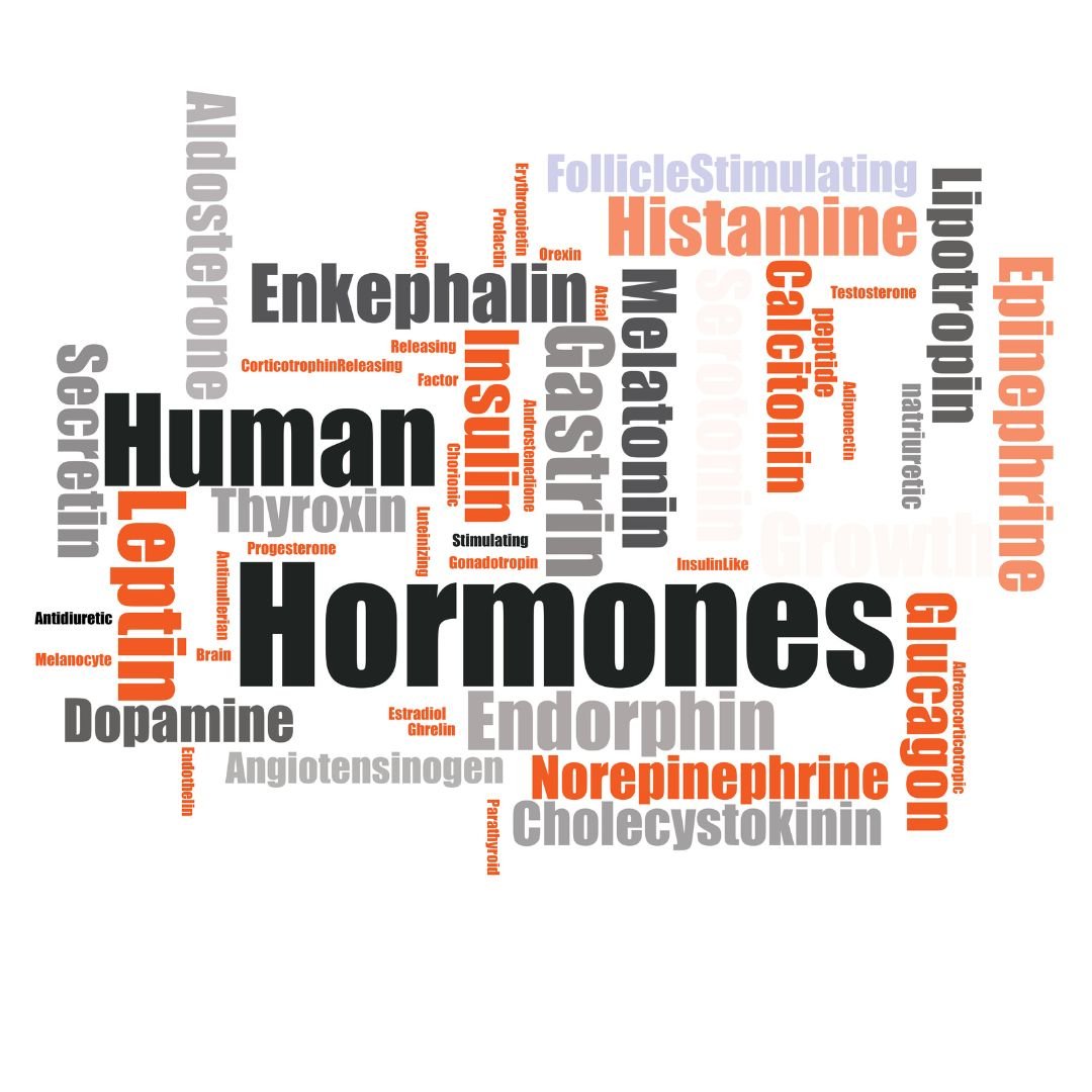 gut_hormone_blog