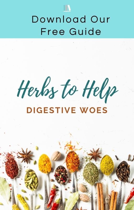 HERBS TO HELP DIGESTIVE WOES Guide Icon
